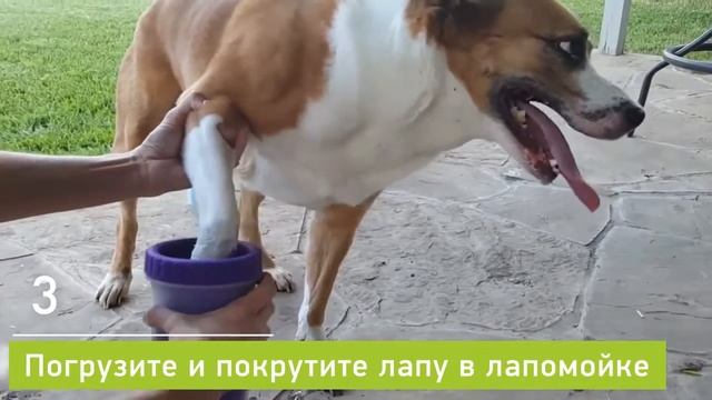 PuppyBottle - Лапомойка смотреть онлайн