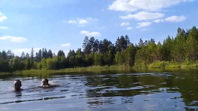 Лесное озеро. Купаемся😎отдыхаем.