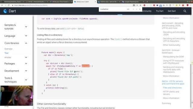 Flutter #29 - Прошёл "dart:io" в туре по библиотекам ядра Dart 2.x