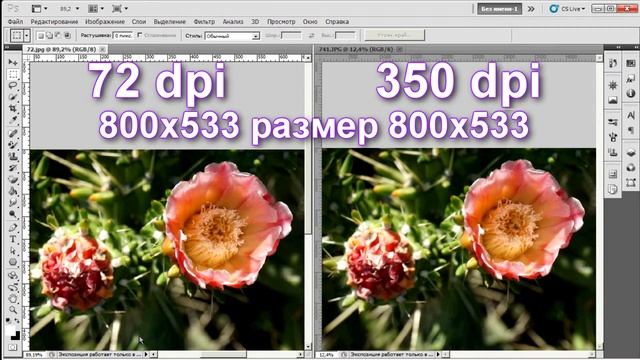 Adobe Photoshop. Разрешение изображения и размер файла