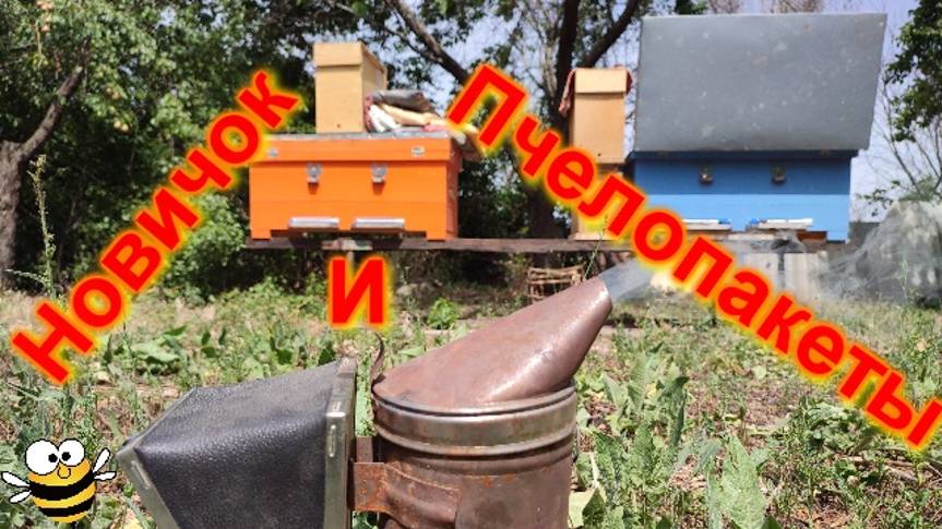 Пересаживаю ПЧЕЛОПАКЕТЫ, Начинающий пчеловод смотреть онлайн
