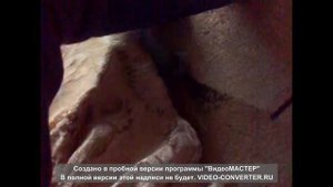 катэ-каратэ