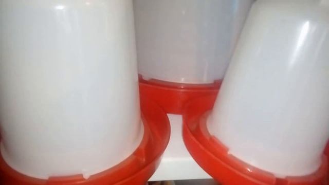 Кормушки,  поилки для птиц. смотреть онлайн