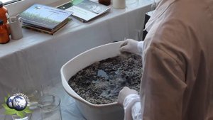 Сорбенты НПО "ПАРМАСОРБ". Имитация разлива токсичных нефтепродуктов.