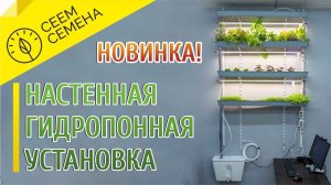Модульная гидропонная установка для выращивания зелени на любой стене! Новинка!