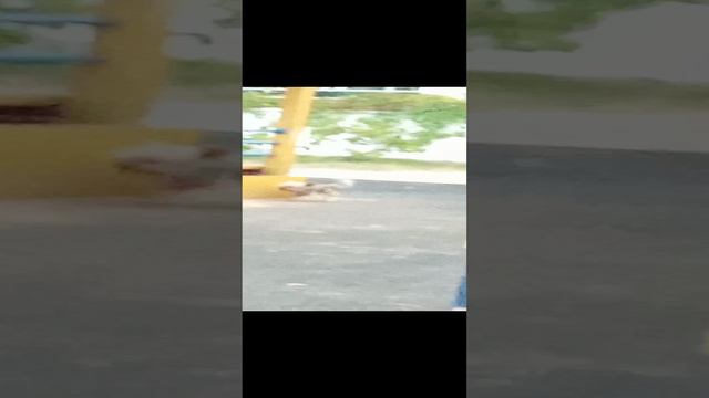 учить преёмы