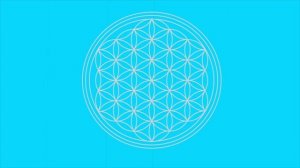 FLOWER OF LIFE/sacred geometrie screen safer in all chakra colours