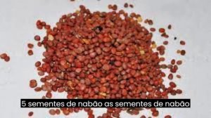 Top 7 Super Alimentos para Canários da Terra  Uma Dieta Saudável para Pássaros Felizes!#canario