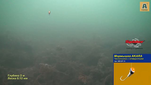 Мормышка AKARA чесночника с отверстием (мормышка W Spider Чесночинка с отверстием модель 15). смотреть онлайн