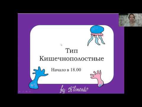 Тип кишечнополостные