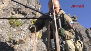 Снежный баран в Магаданской области. Горная охота Эдуарда Бендерского