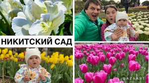 ПАРАД ТЮЛЬПАНОВ 2024: Встреча Цветов и Людей в Никитском Ботаническом Саду, Крым