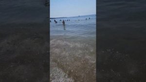 Пляж 🌴 Отеля Lonicera World 4*. второй день на море 🌊 . 02 Июля  2023 года