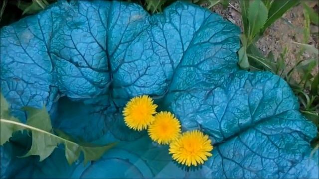 Вазон из бетона "Бирюзовый цветок" смотреть онлайн