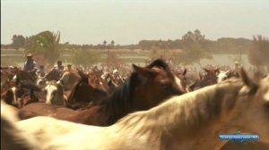 Андалусия: между раем и адом / Andalucia: between heawen and hell