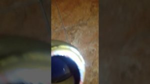 о масле синтек для движка и сравнение с синтек премиум