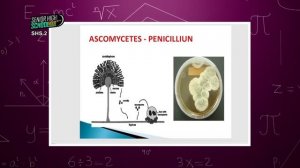 Biology - Phyla Of Kingdom Fungi - Shs 2 (03/09/2021)