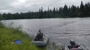 Рыбнадзор Шутка