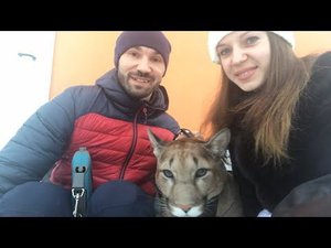 Стрим 10 метров над землёй.