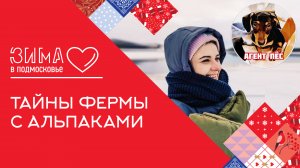 Побег из города с таксой-блогером: тайны фермы с альпаками