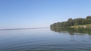 Медузы в реке Днепр. Водохранилище меняется?