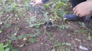 Как Сделать Зернь Для Филиграни В Домашних Условиях