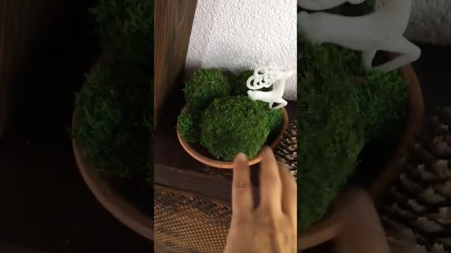 Стабилизированный мох в интерьере