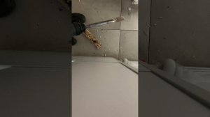 Перфоратор Cat dx 21