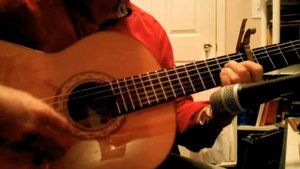 Flamenco guitar