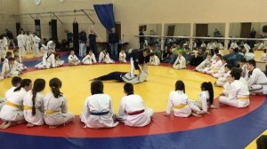 Ju-Jitsu, семинар, 21.04.2019 джиу-джитсу