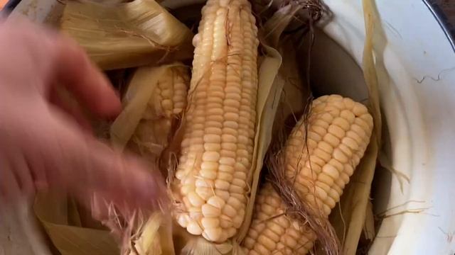 Готовим сахарную Кукурузу по вьетнамскому рецепту смотреть онлайн