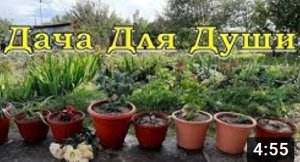 Возвращение ДОМАШНИХ «ПИТОМЦЕВ» в квартиру???