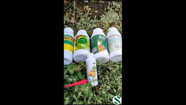 "Скорая помощь" для РОЗ! смотреть онлайн