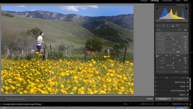 Adjustment Brush Tool Tutorial - Lightroom 3 Video Tutorial смотреть онлайн