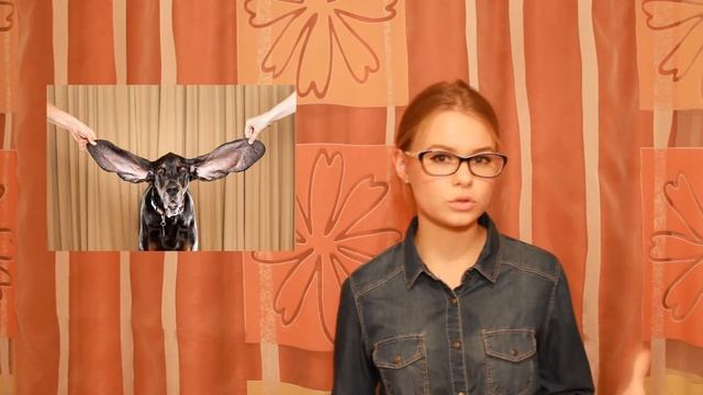 УЗНАЙ НОВОЕ!! #27. Мышцы, рекорды, и физика всюду! |BlackBat| смотреть онлайн