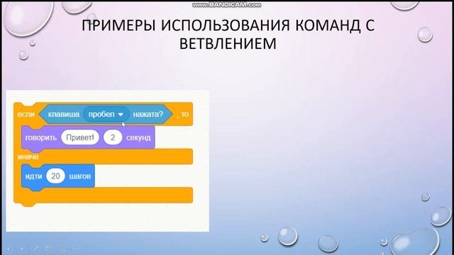 5 кл: 