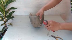 Beautiful with Unique Swan Shaped Pot for Home Garden Decor // Cement craft ideas