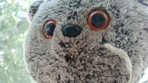 Басик снял влог сам!😳|VLOG из больницы|