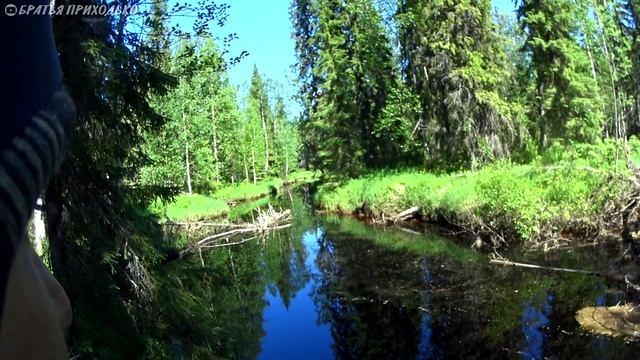 РАЗВЕДКА ТАЕЖНОЙ РЕЧКИ И РУЧЬЯ / РЫБАЛКА НА СЕВЕРЕ смотреть онлайн