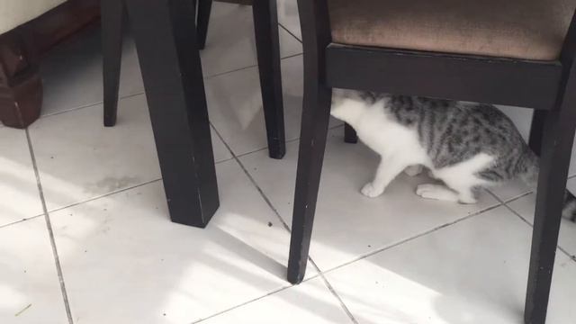 Макс играет #макс #играет #артемграф #артёмграф