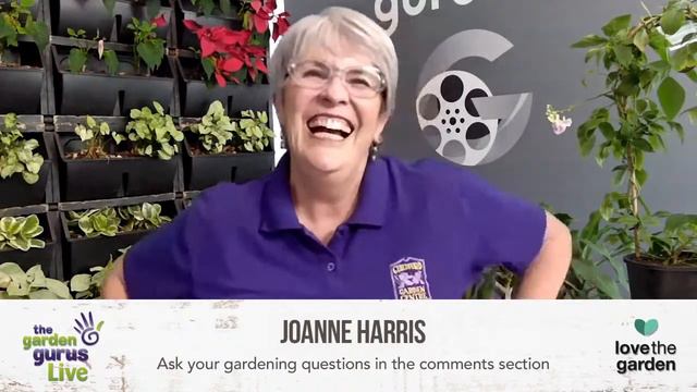 FROM HEAT WAVES TO FLOODS || The Garden Gurus LIVE смотреть онлайн