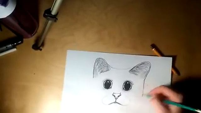Как нарисовать кота.