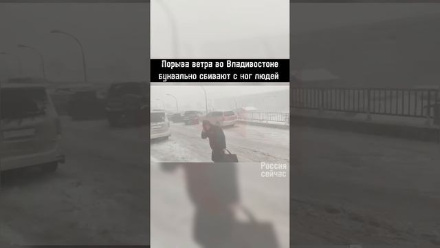 Во Владивостоке ветер сбивает людей с ног