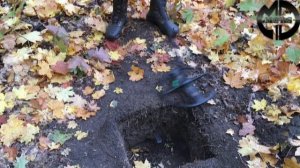 Сравнение металлодетекторов  Quest Q 40 - Quest X 10