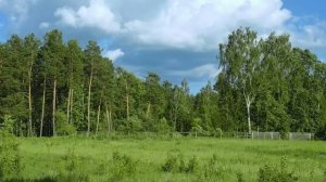 Олеся........ВИА Сябры