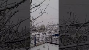 19.04.17 Херсонская обл. Новоалексеевка