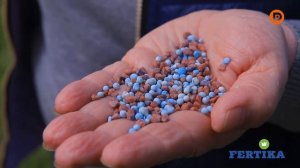 Подкормка и уход за газоном.  Фертика газон весна - лето.