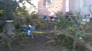 Осушка забруса на пасеке.