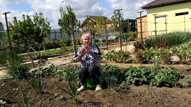 Чем удобрять клубнику во время цветения для лучшего урожая?