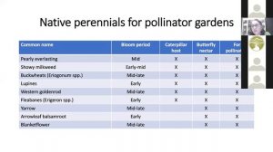 Creating a Native Plant Pollinator Garden- Betsy Dudash- 3/14/22